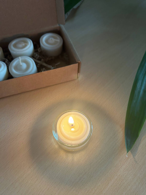 VonTree Candle Sada čajových svíček ze sójového vosku bez vůně - bezobalová (6 ks)