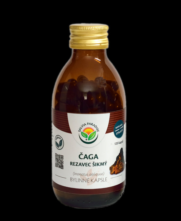 Salvia Paradise Chaga (120 kapsúl)